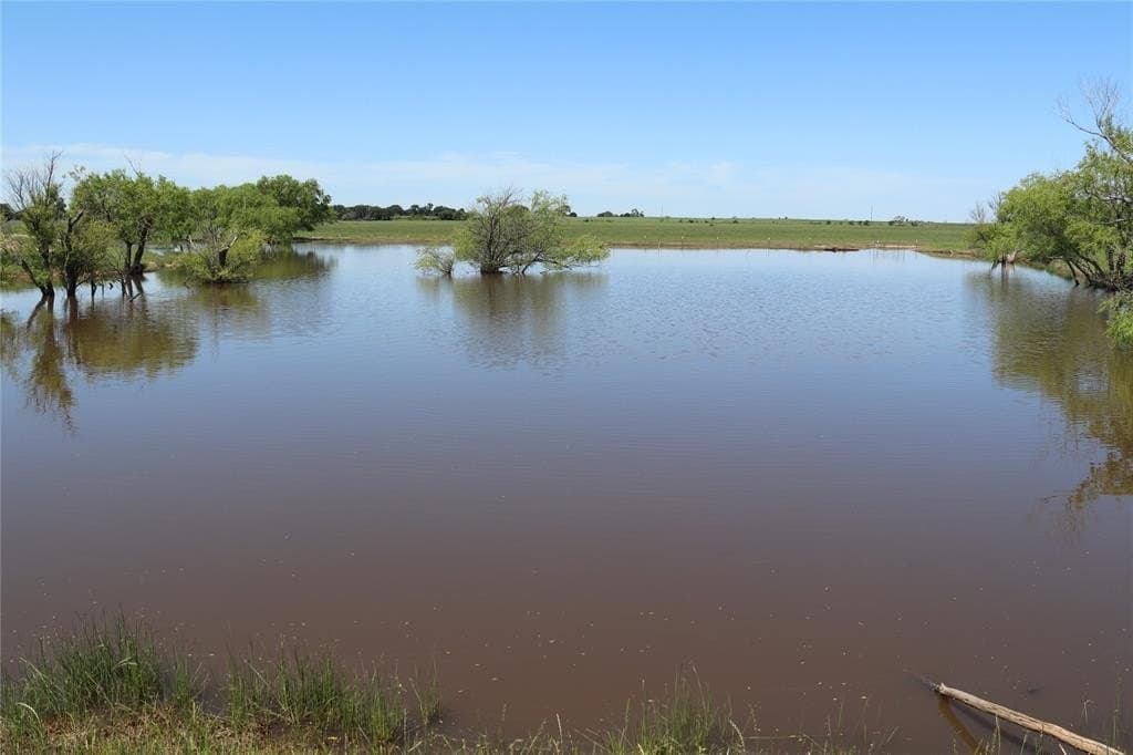 80 acres in Clay County gallery image 4