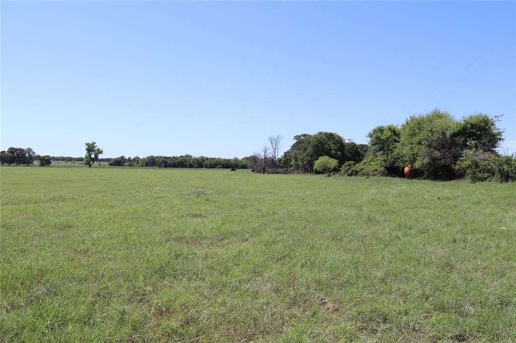 80 acres in Clay County featured view