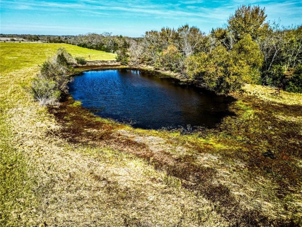 61 acres in Madison County - photo 12