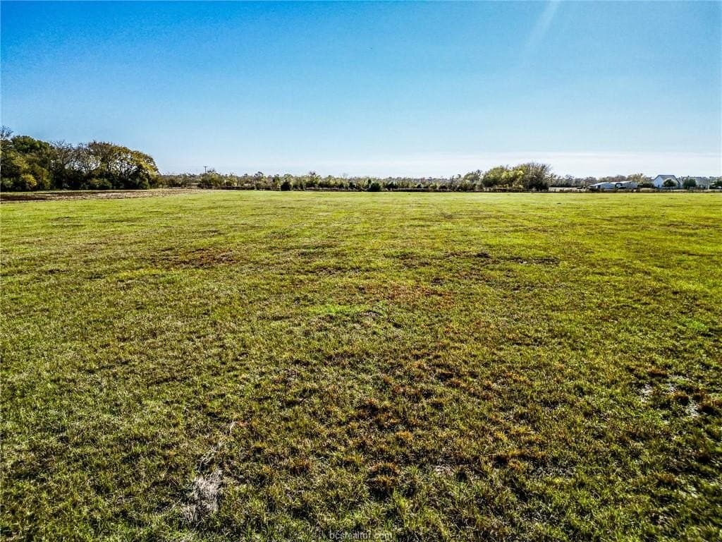 61 acres in Madison County - photo 17