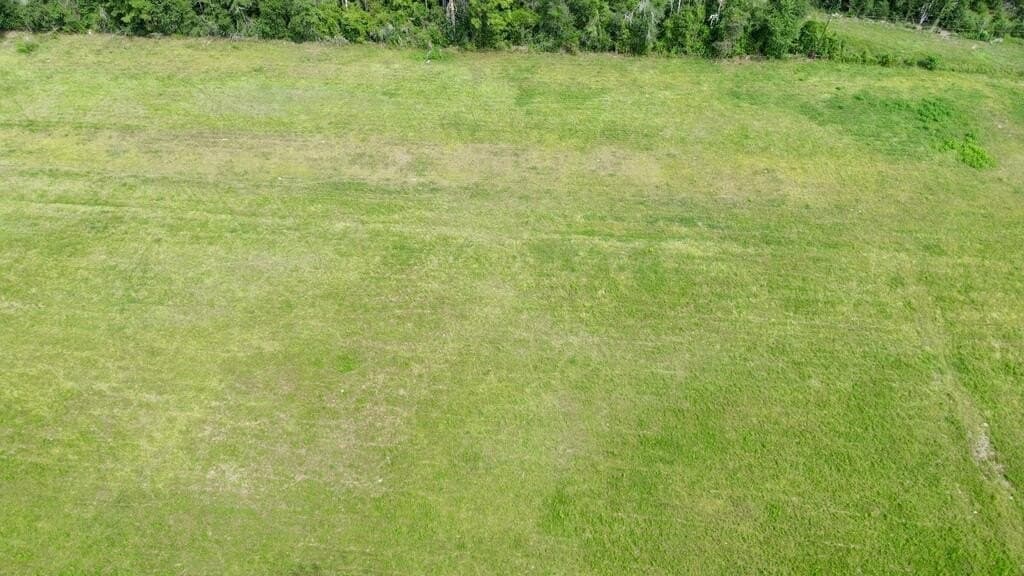 10.4 acres in Texas County - photo 15