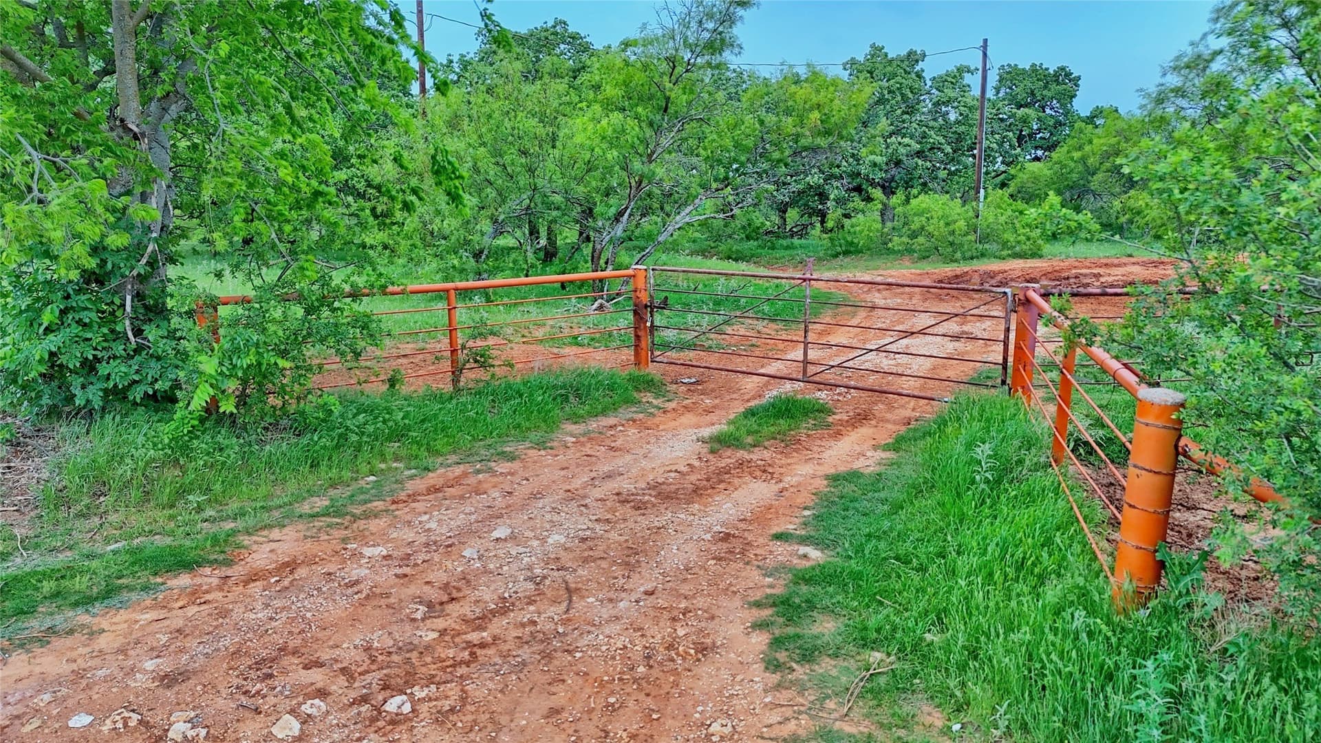 92.75 acres in Montague County gallery image 3