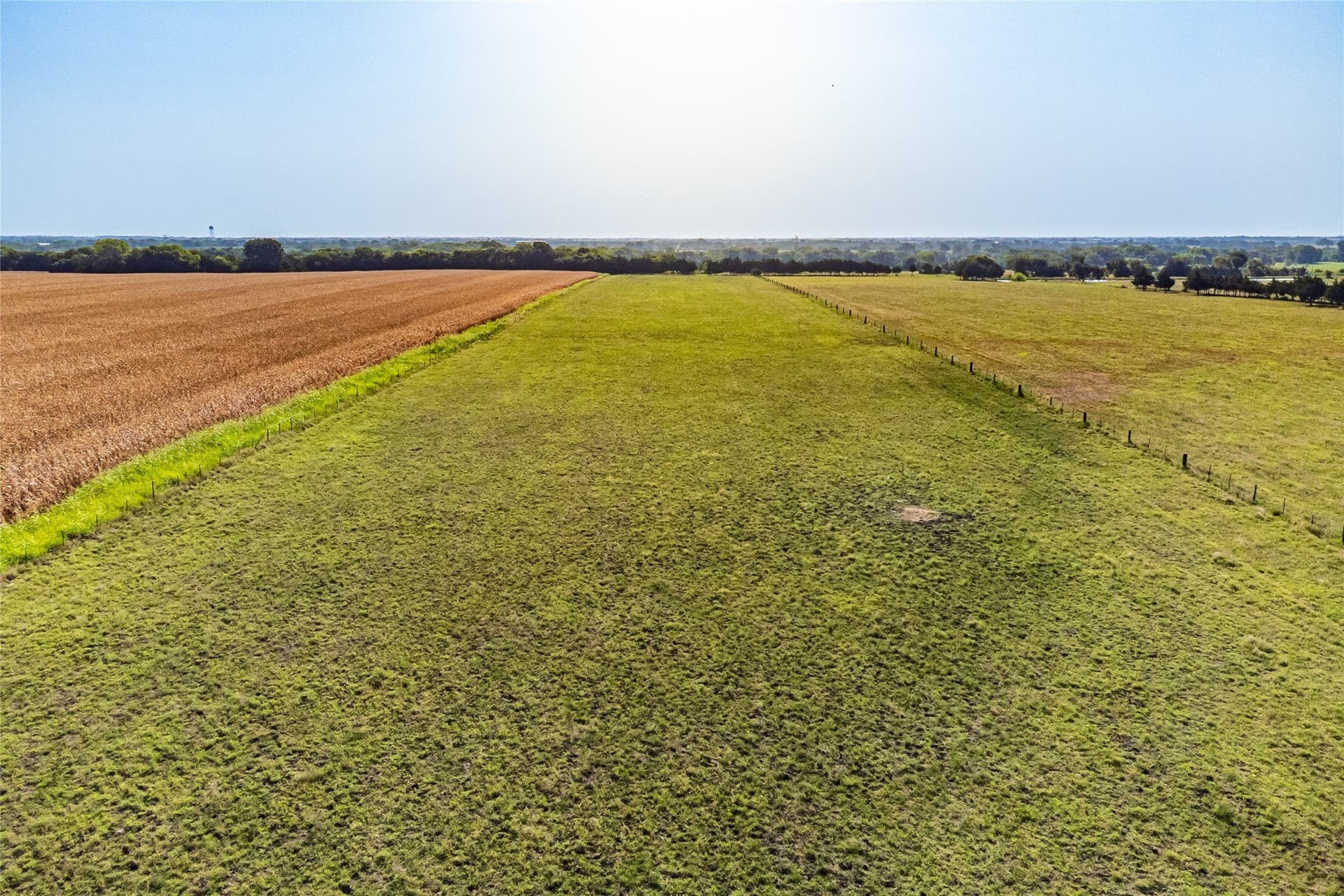 14.21 acres in Fannin County - photo 15