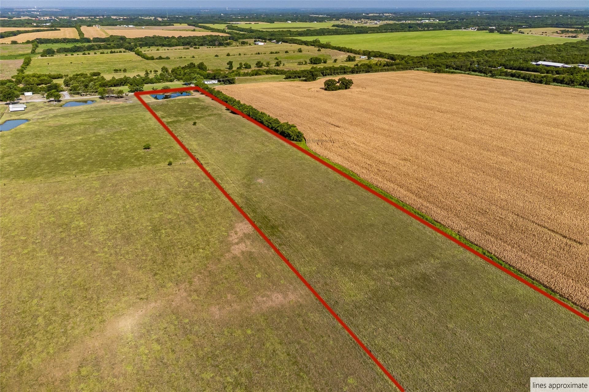 14.21 acres in Fannin County - photo 12