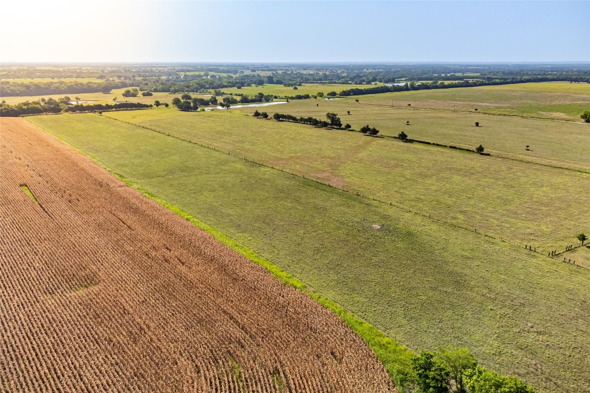 14.21 acres in Fannin County - photo 9