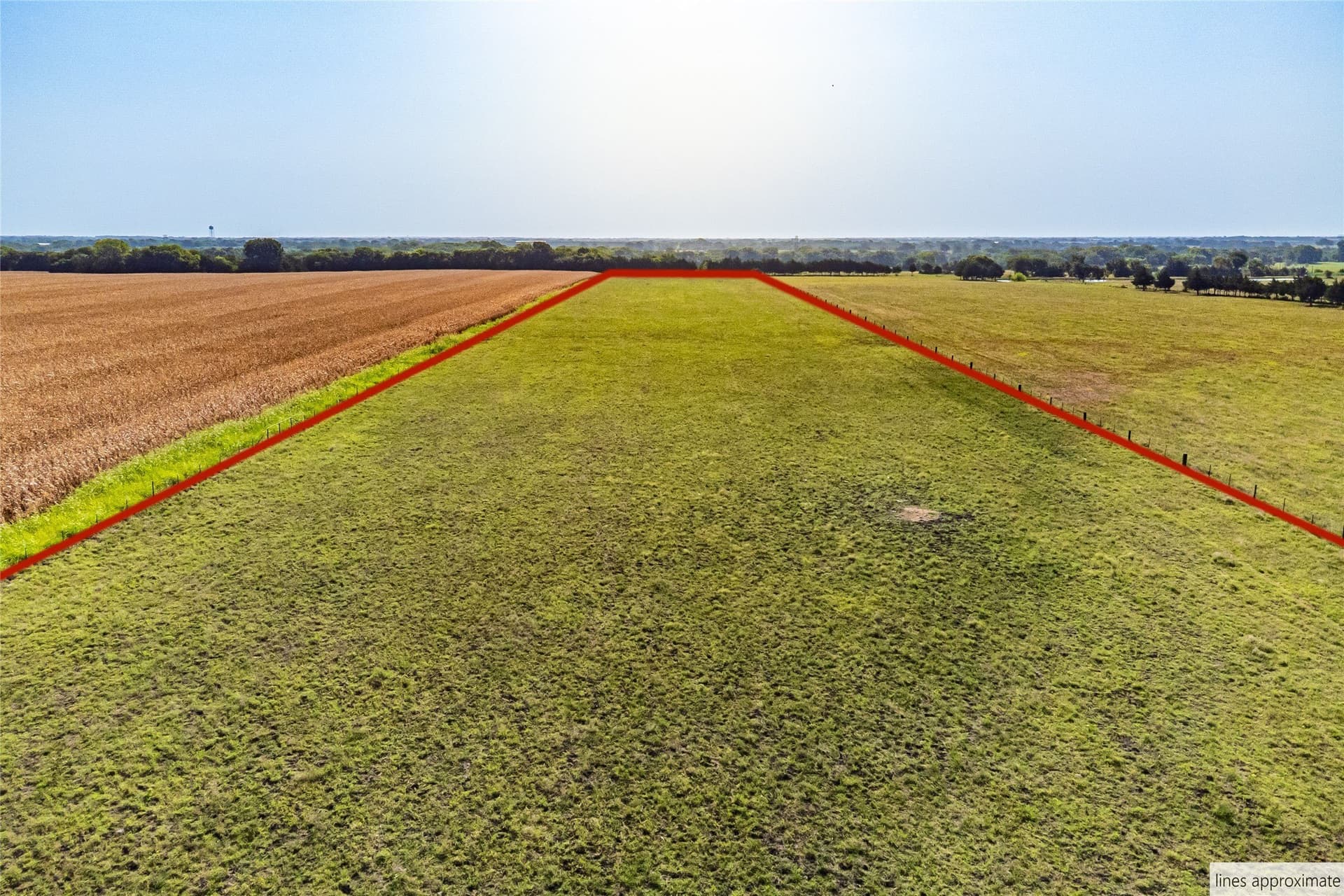 14.21 acres in Fannin County - photo 14
