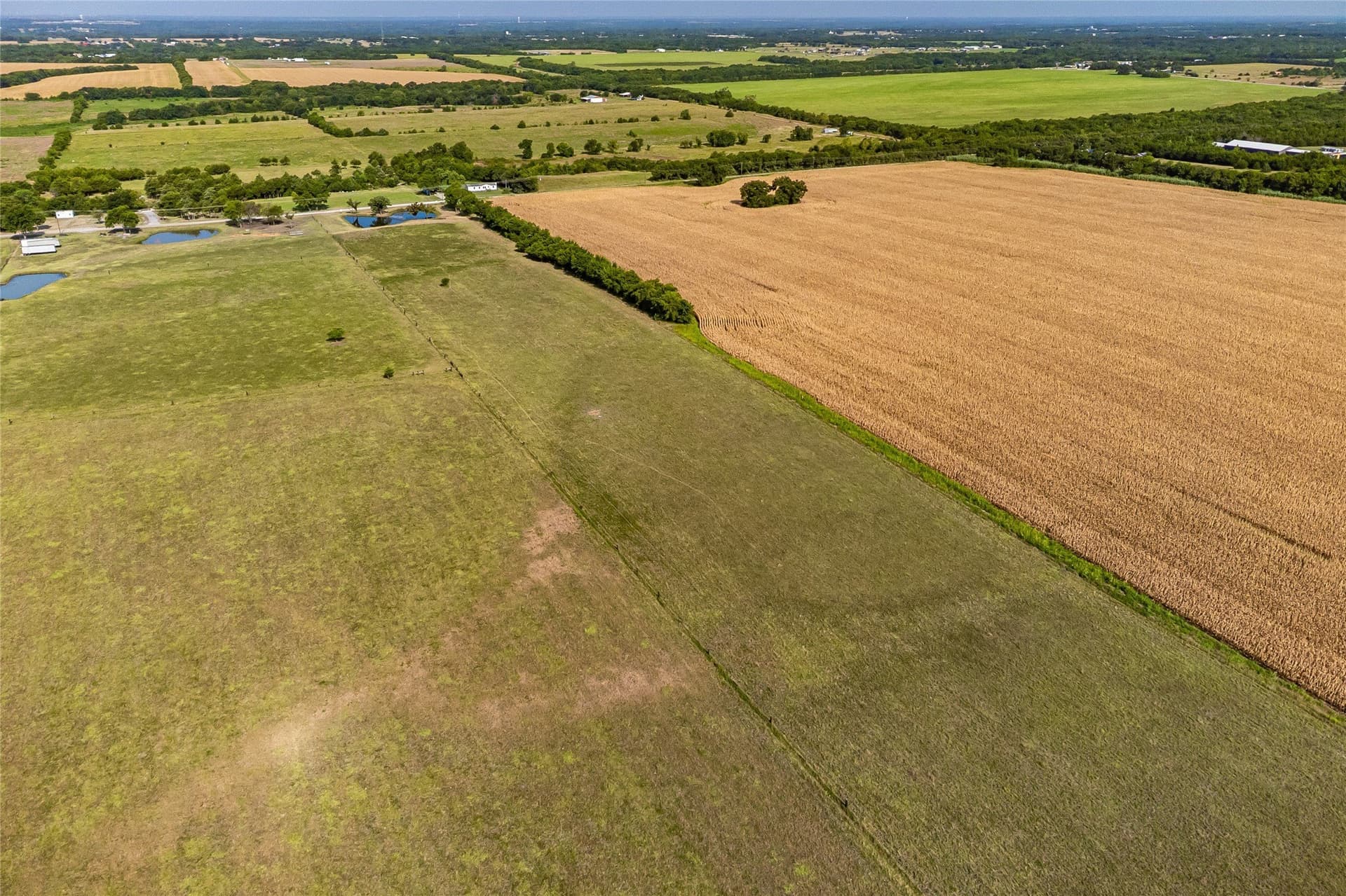 14.21 acres in Fannin County - photo 13