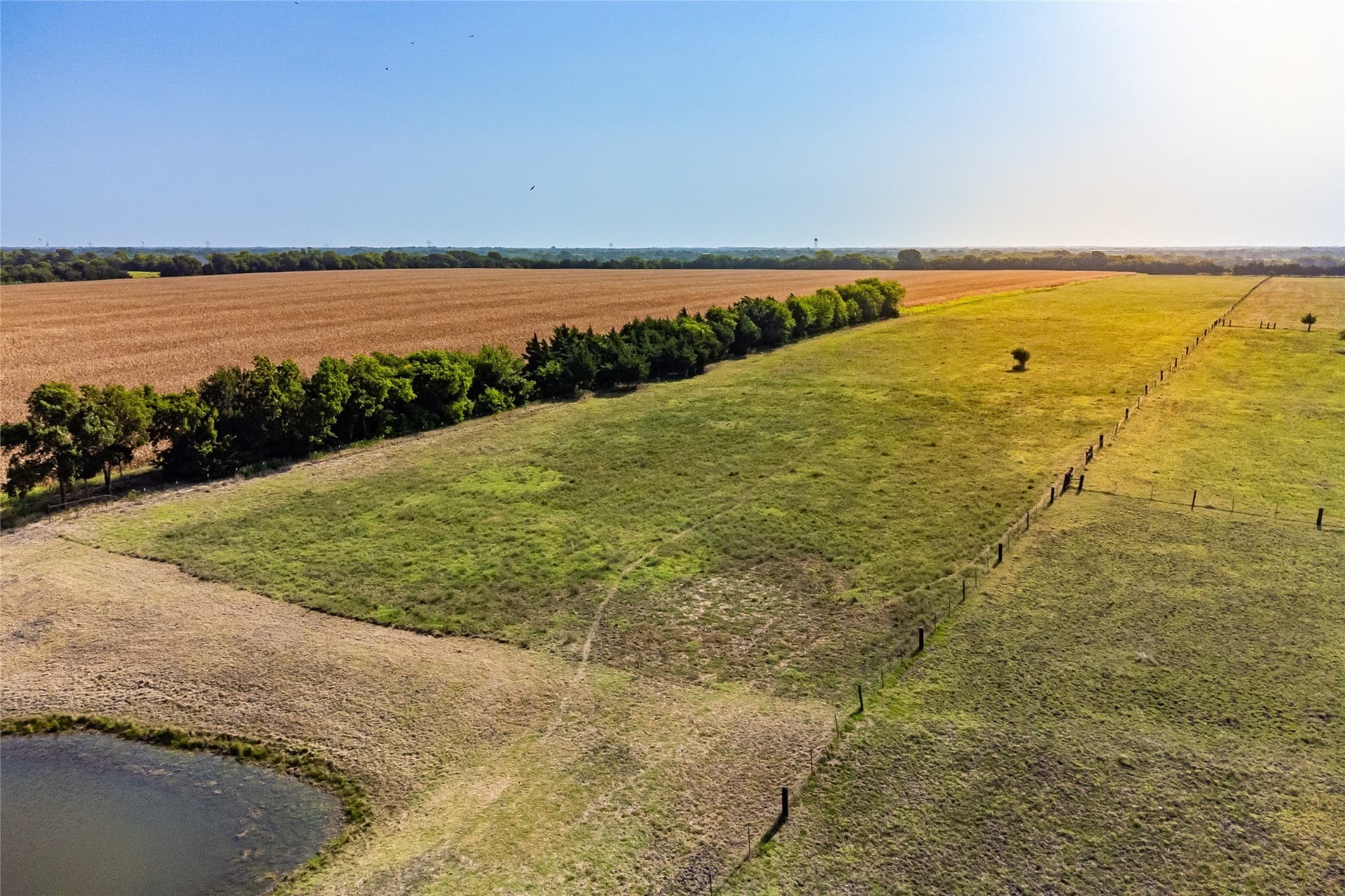 14.21 acres in Fannin County - photo 17