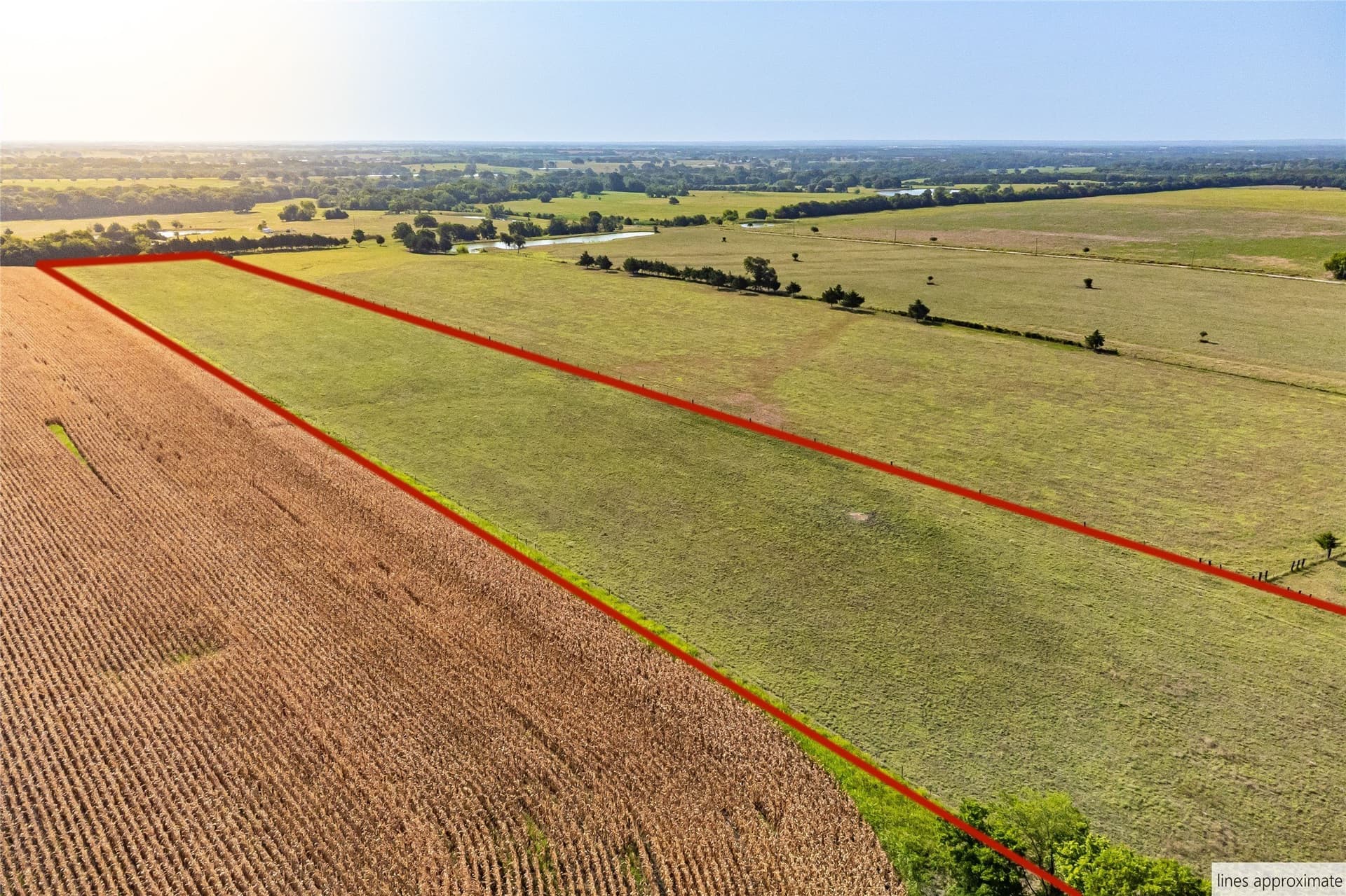 14.21 acres in Fannin County - photo 8