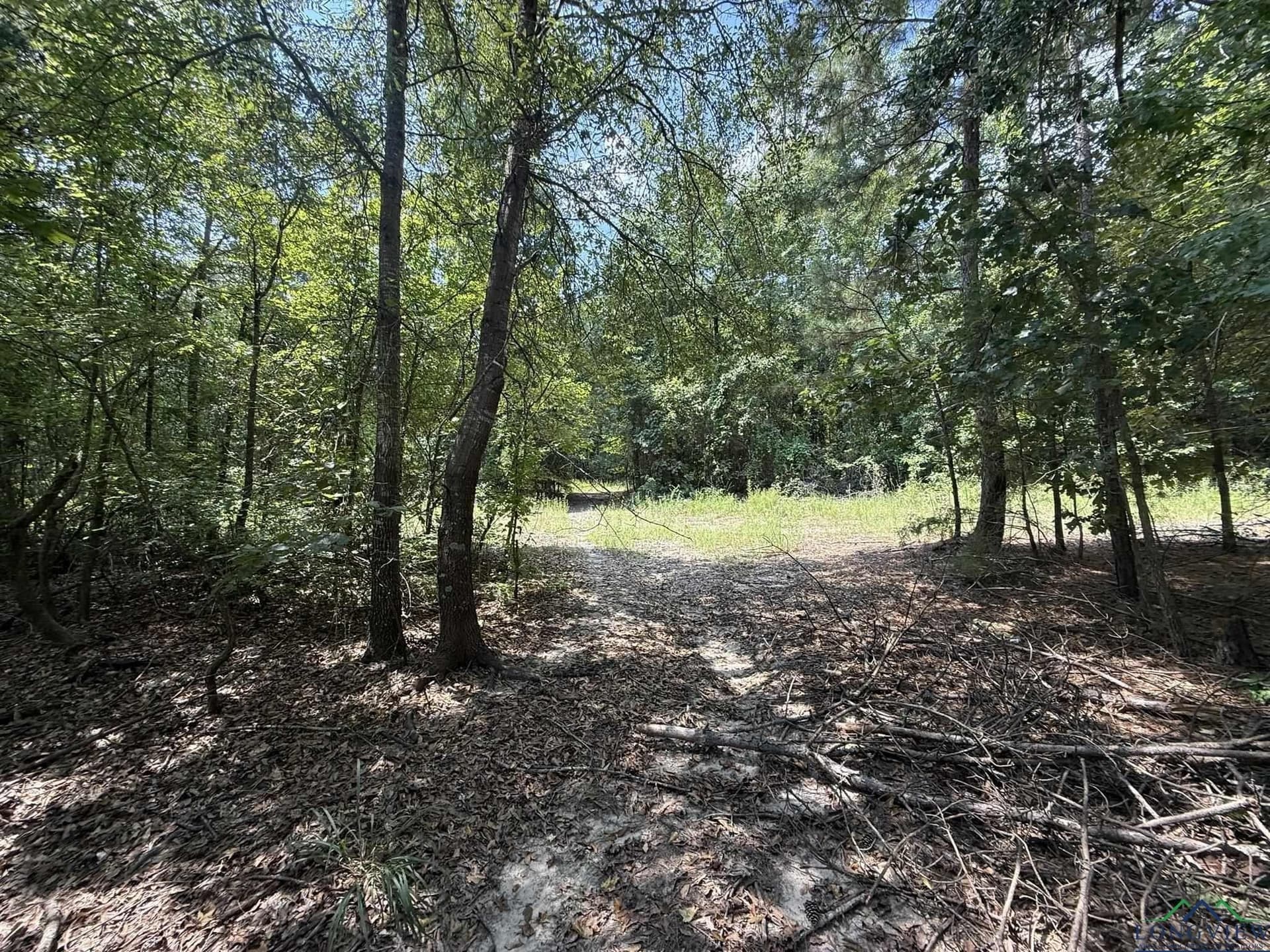 5 acres in Texas County featured view
