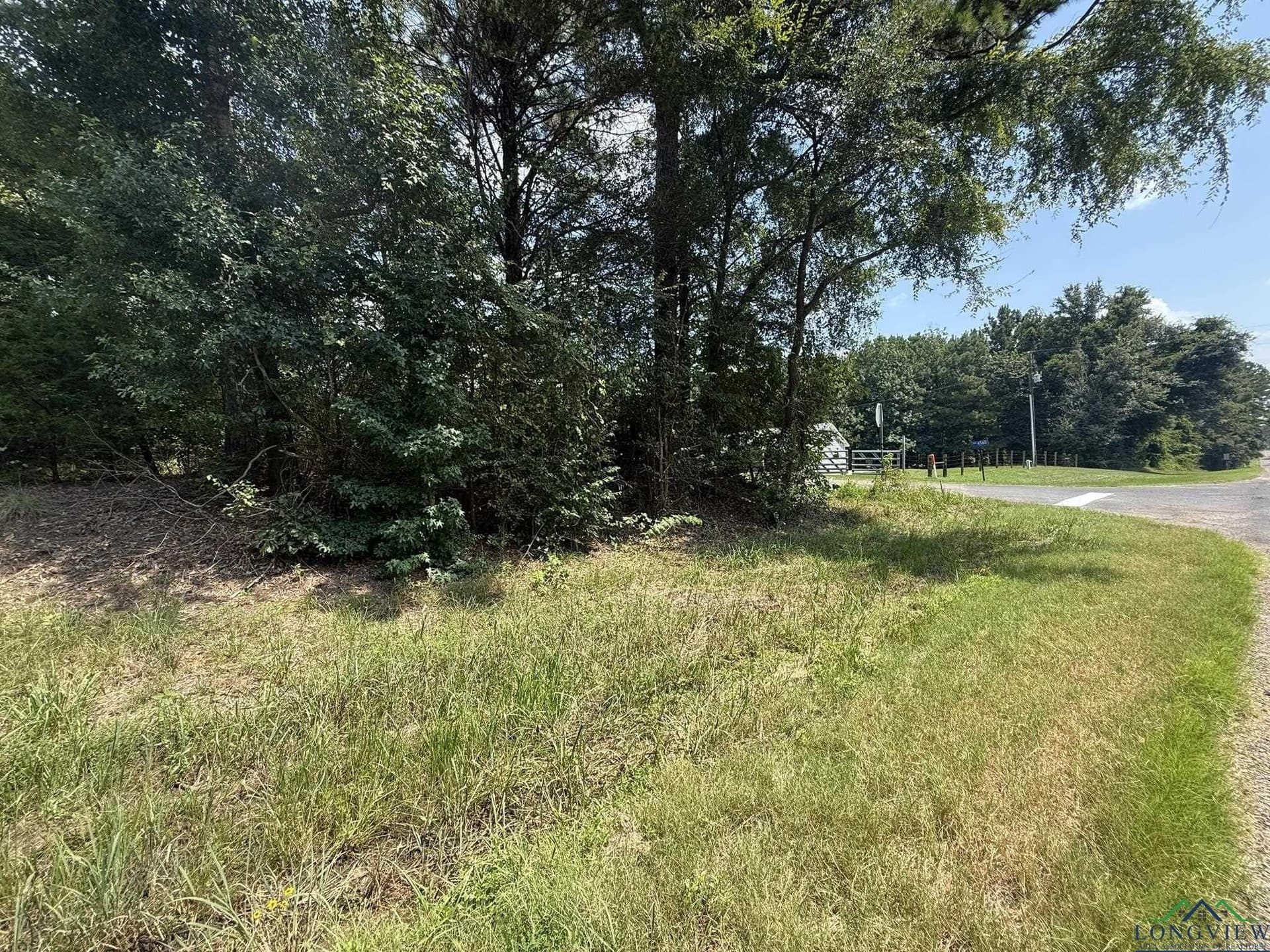 5 acres in Texas County gallery image 2