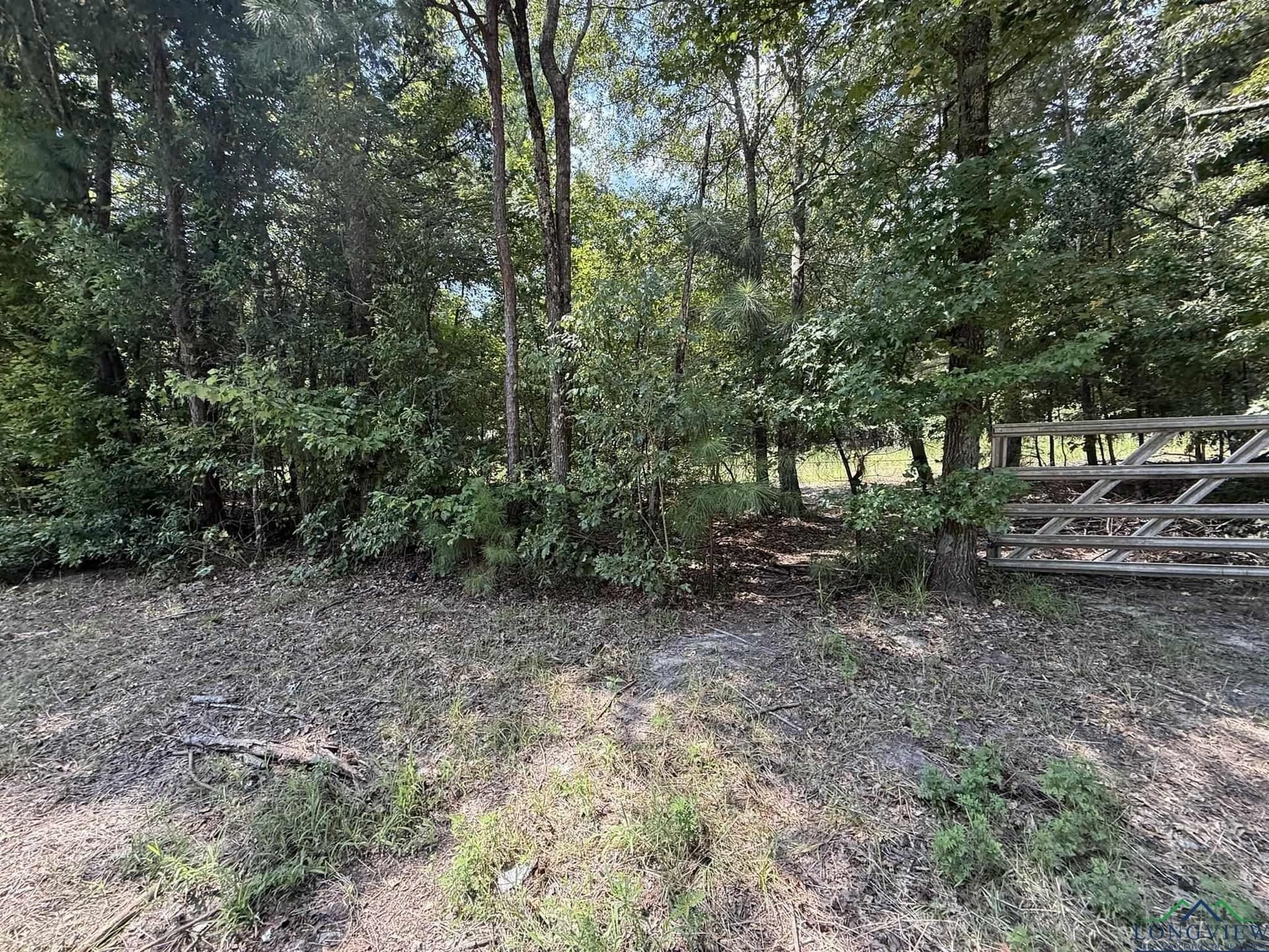 5 acres in Texas County gallery image 4