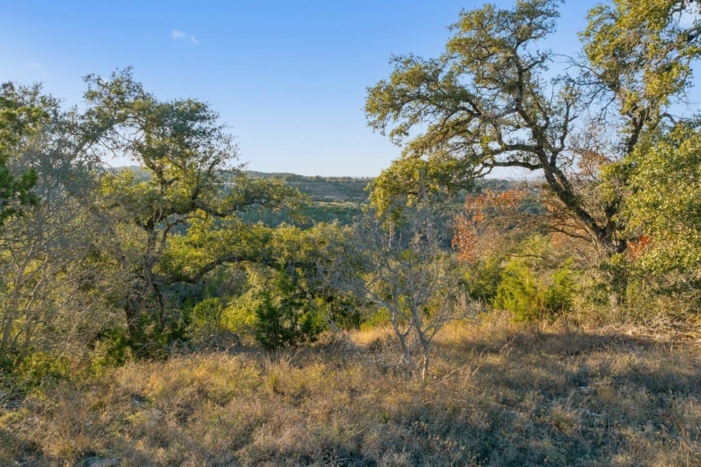 43 acres in Travis County - photo 28