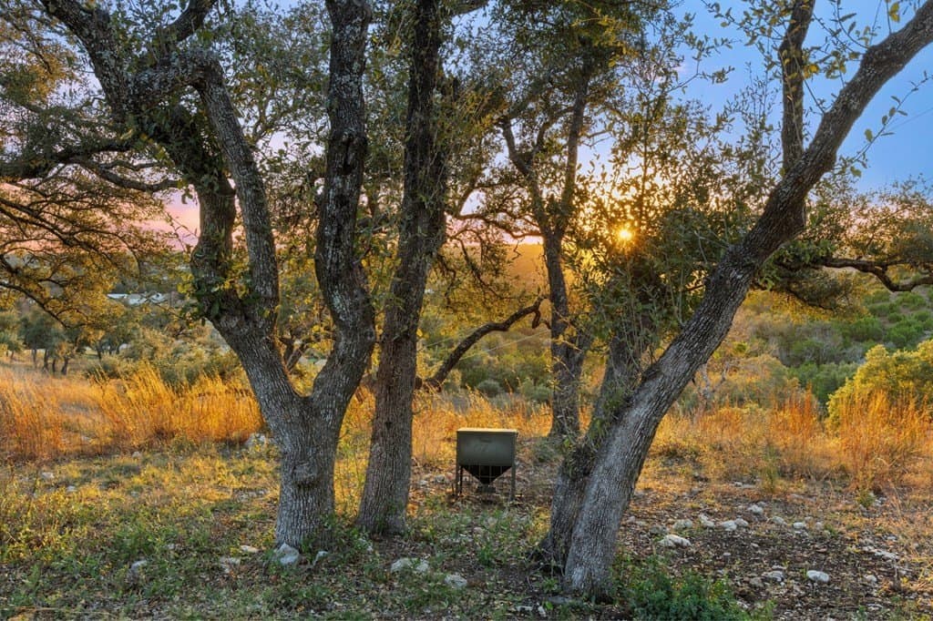 43 acres in Travis County - photo 35