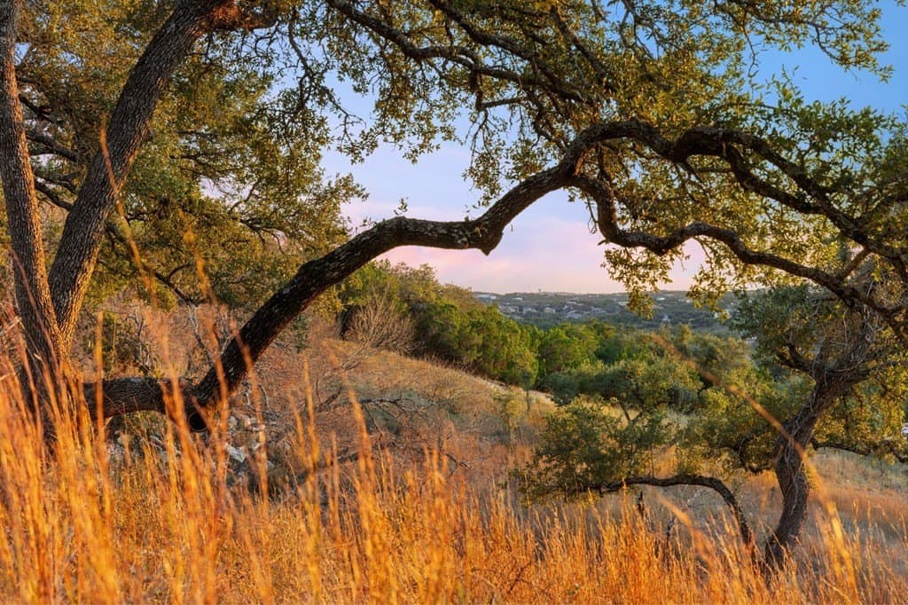 43 acres in Travis County - photo 37