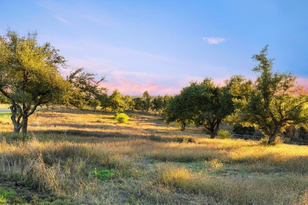 43 acres in Travis County - photo 32
