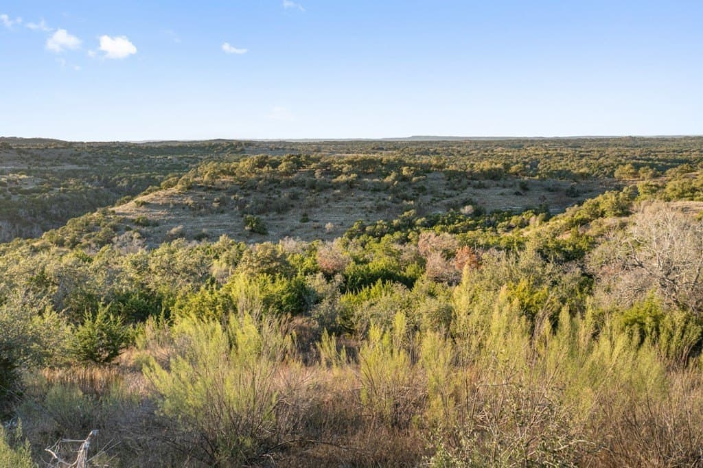 43 acres in Travis County - photo 11