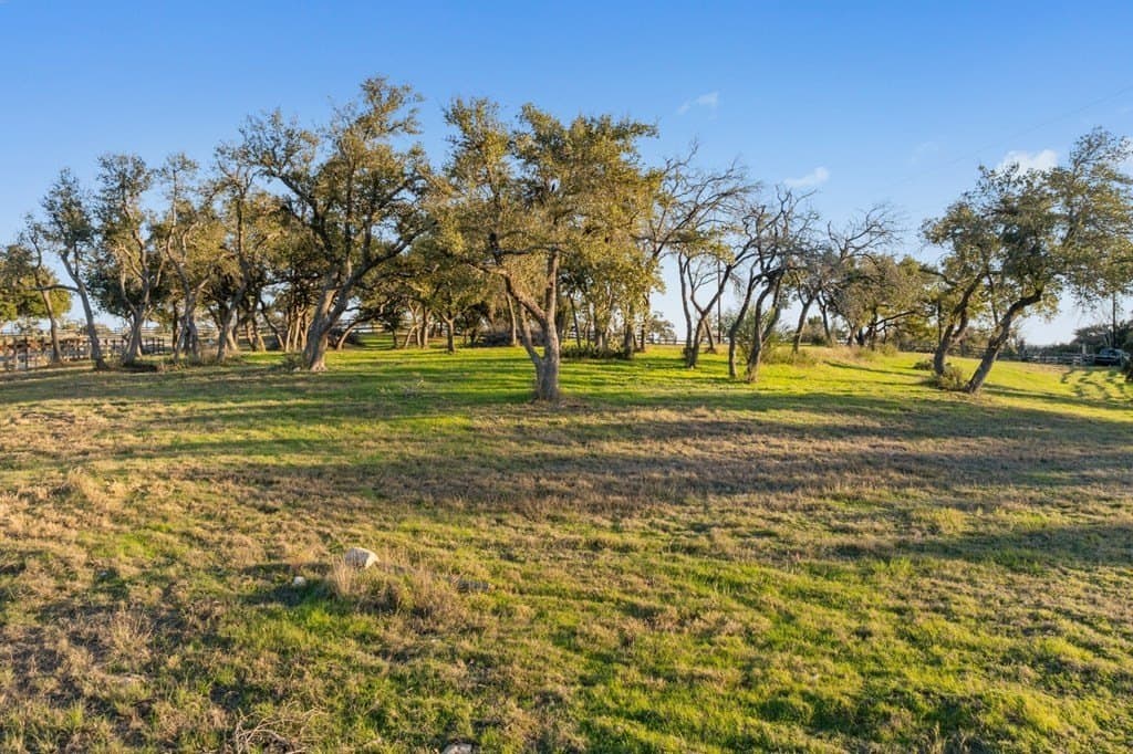 43 acres in Travis County - photo 26