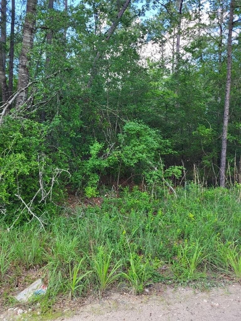 11.93 acres in Texas County featured view