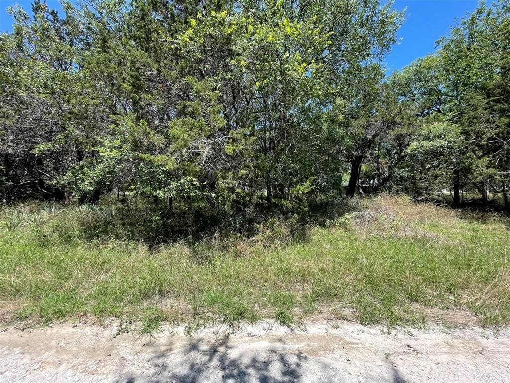 0.69 acres in Bosque County gallery image 2