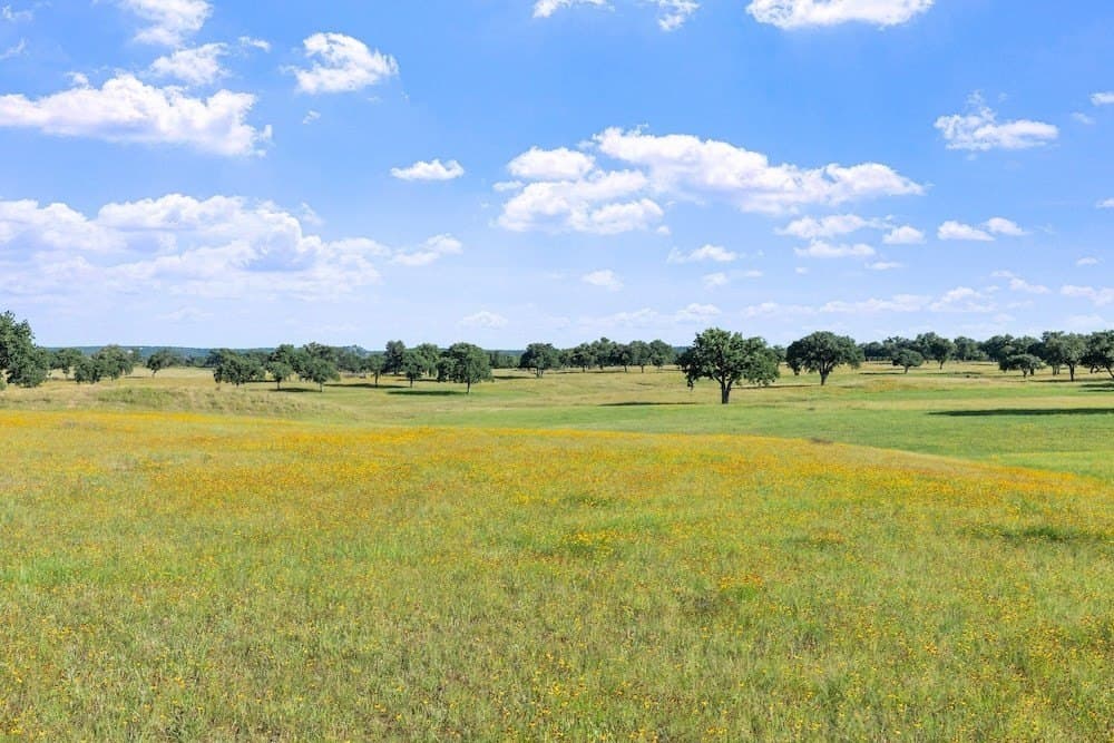 73.7 acres in Llano County - photo 56