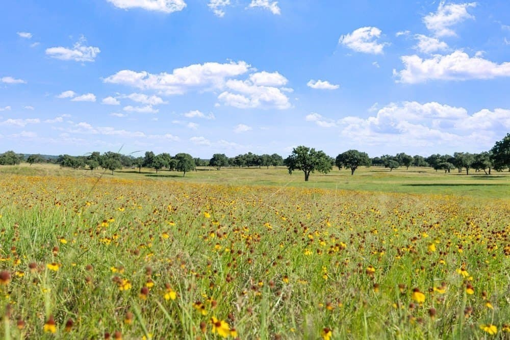 73.7 acres in Llano County - photo 55
