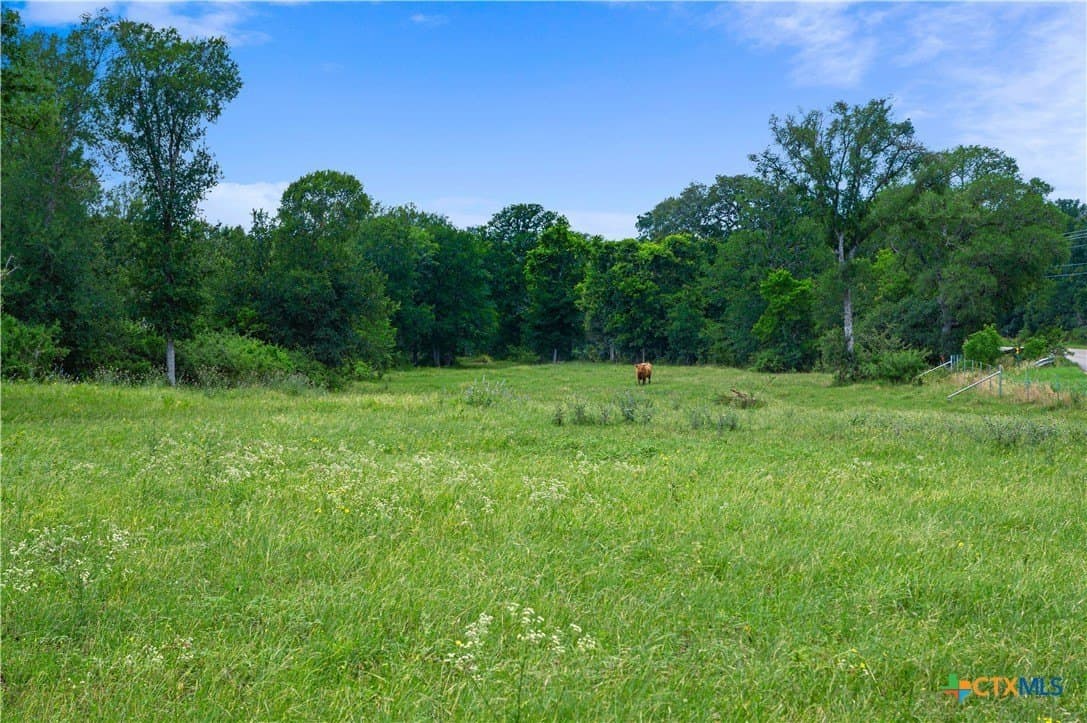 51.75 acres in Guadalupe County featured view