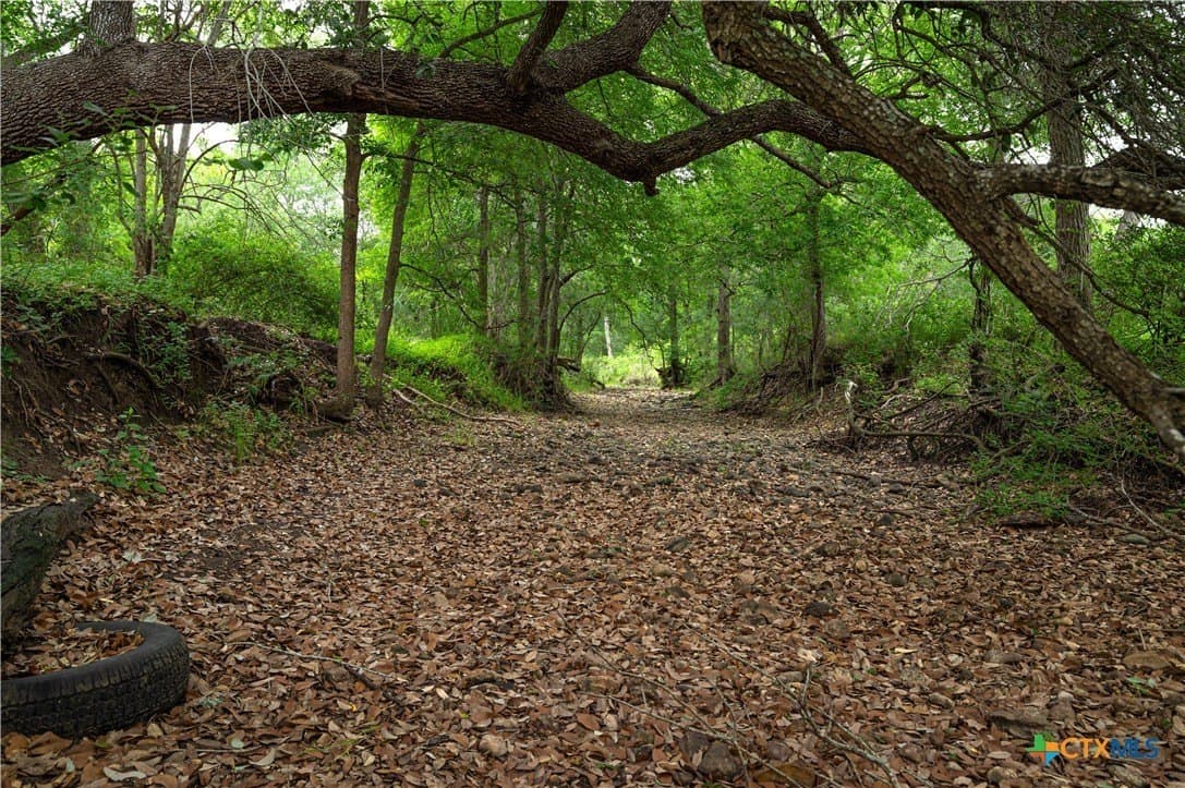 51.75 acres in Guadalupe County gallery image 3