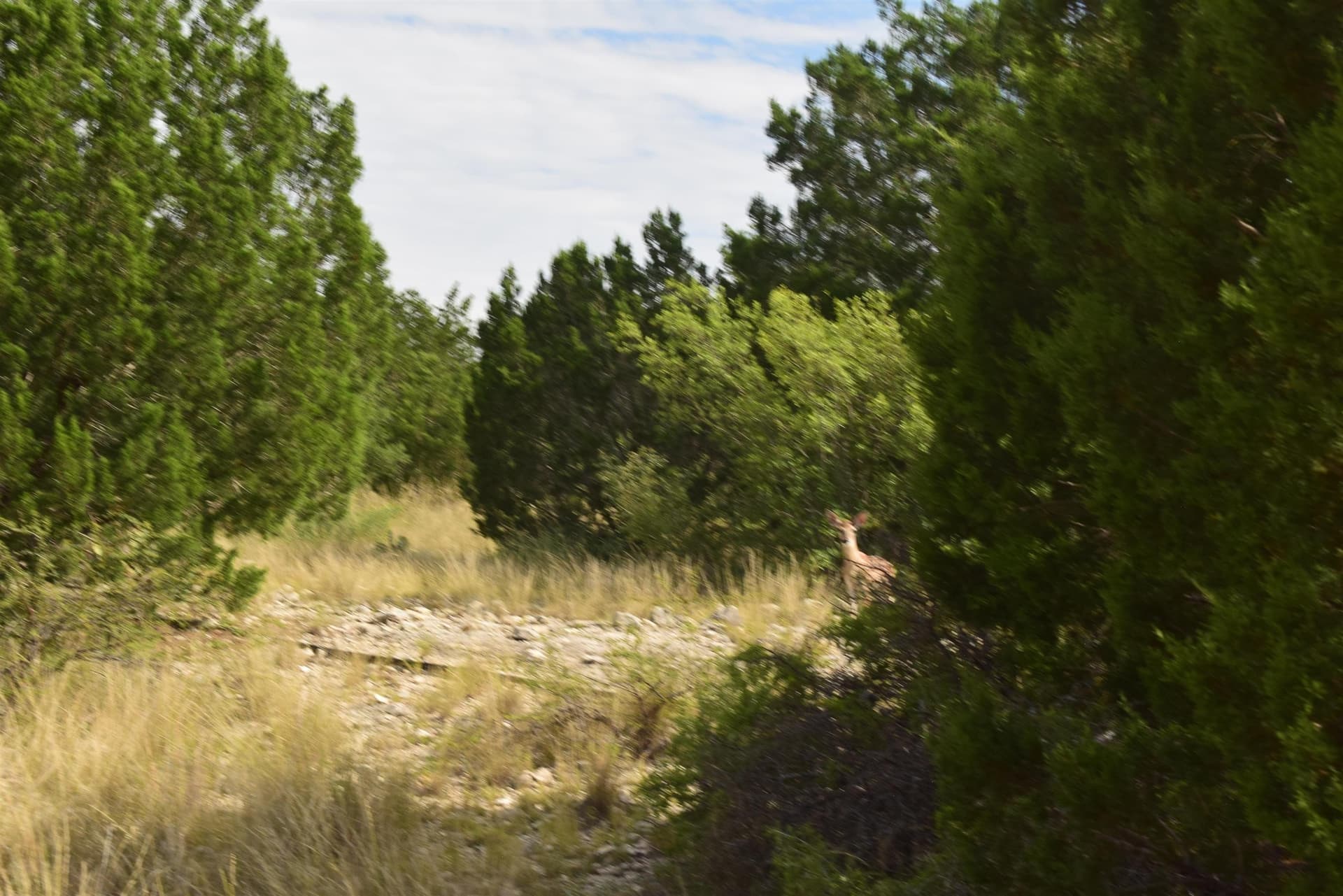 130 acres in Val Verde County