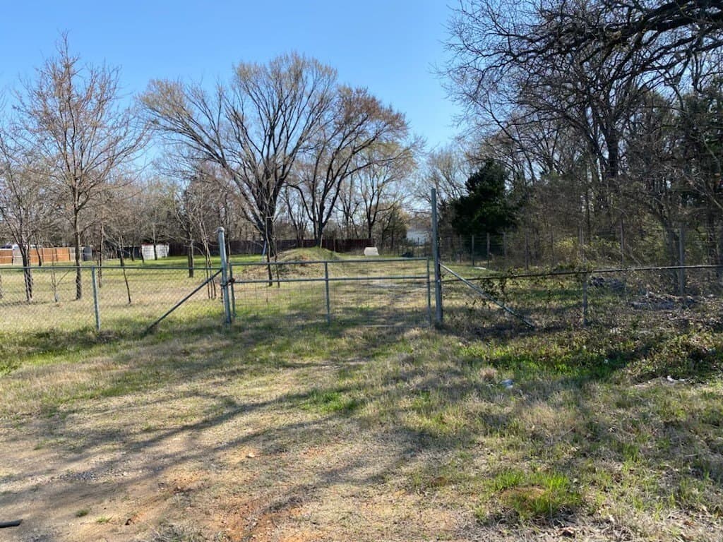 0.65 acres in Dallas County - photo 4