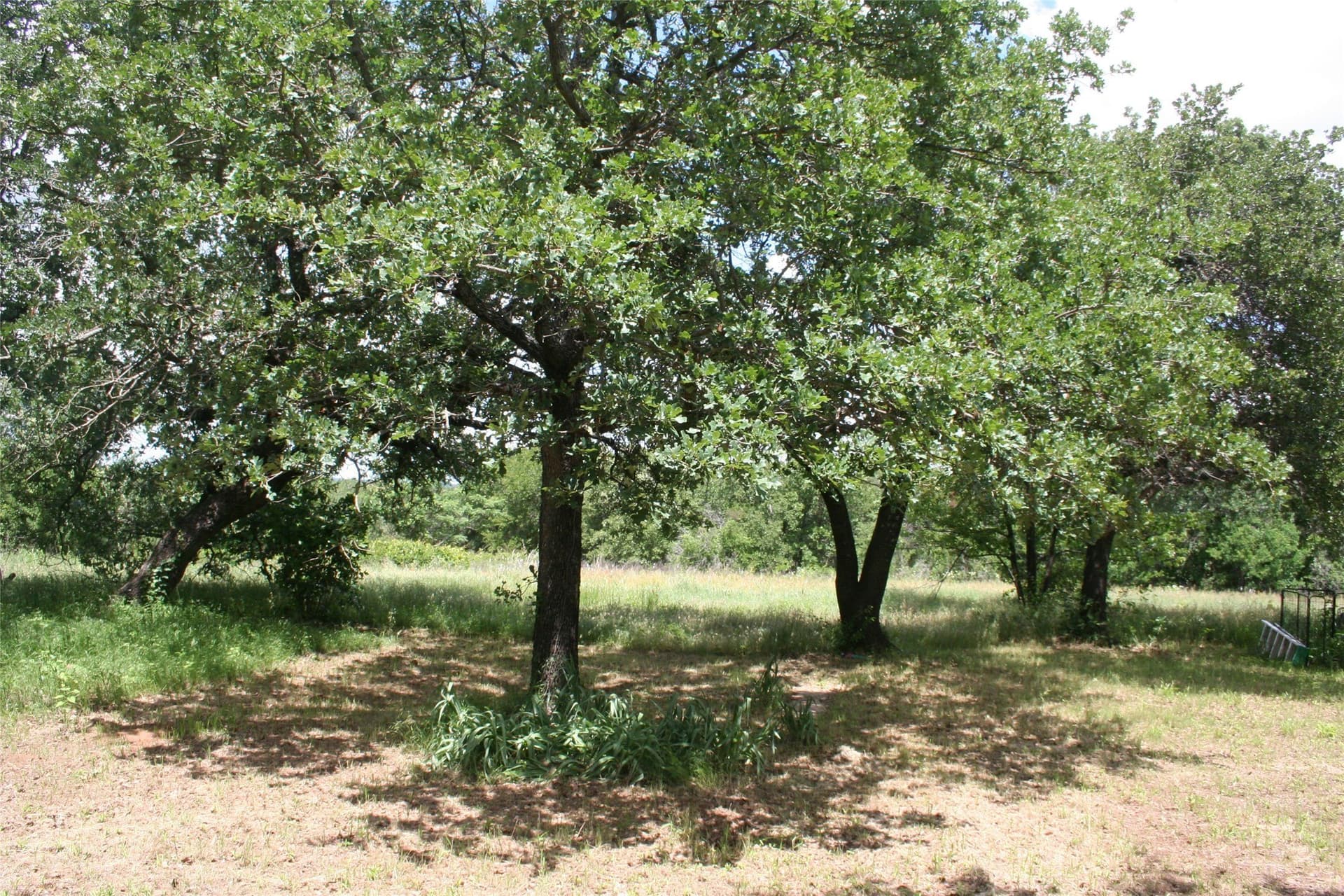 4.31 acres in Palo Pinto County - photo 3