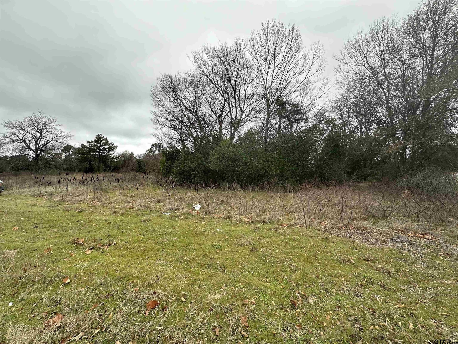 19.95 acres in Smith County gallery image 4