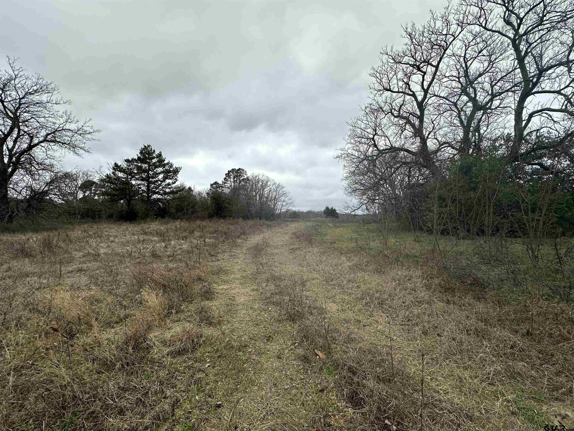 19.95 acres in Smith County