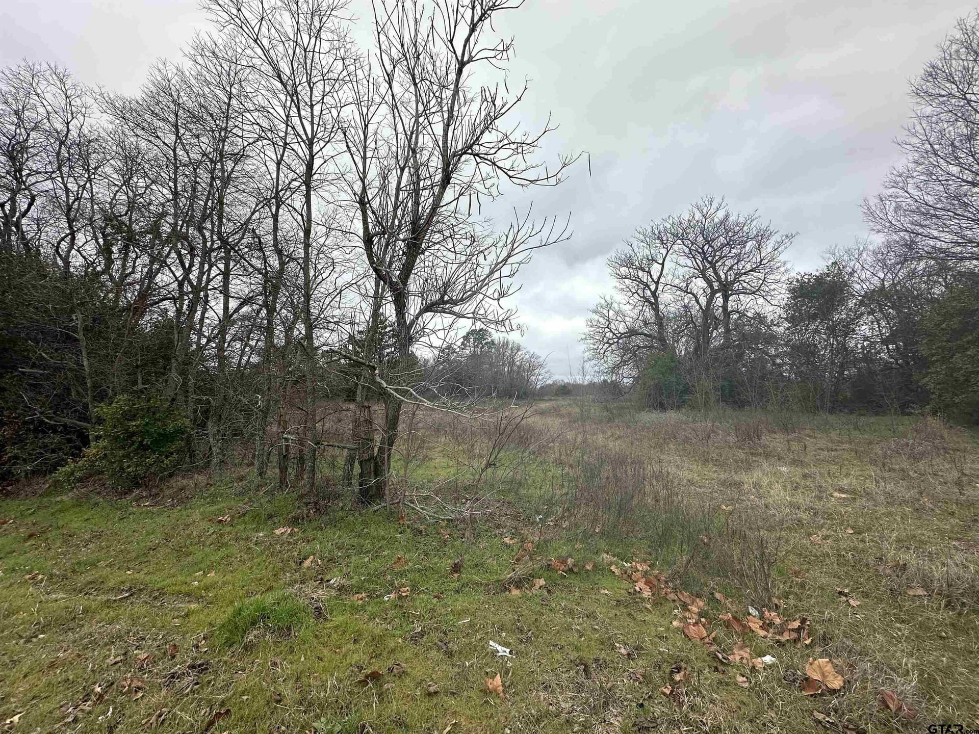 19.95 acres in Smith County featured view