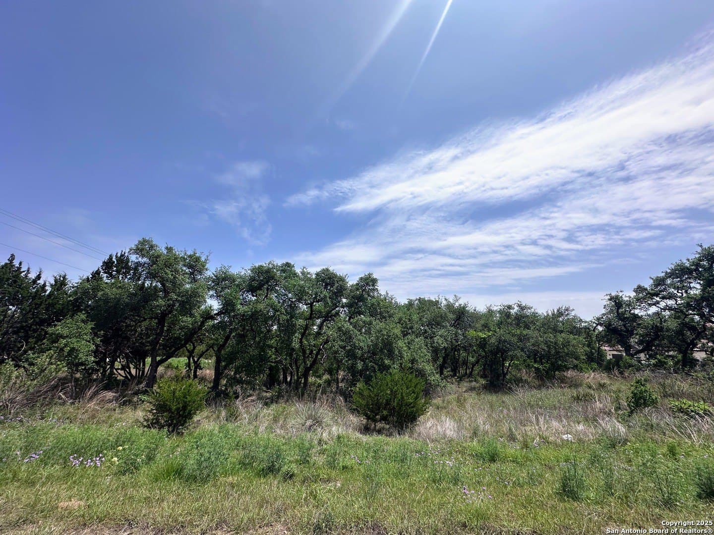 3.07 acres in Comal County gallery image 4