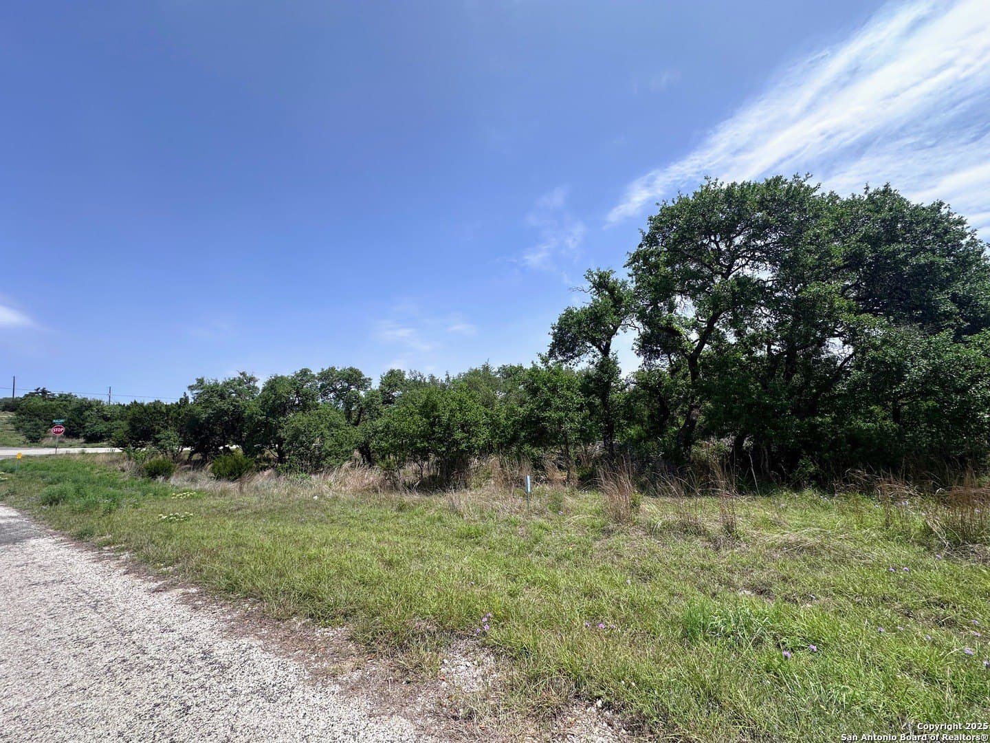 3.07 acres in Comal County gallery image 3