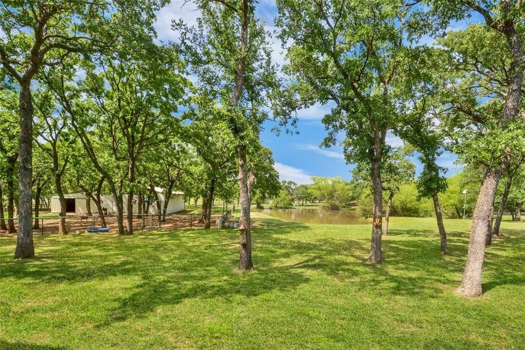 13.31 acres in Denton County gallery image 3