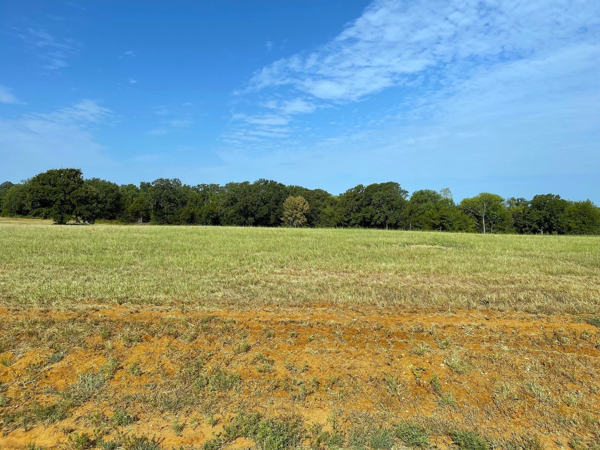 0.17 acres in Grayson County gallery image 2