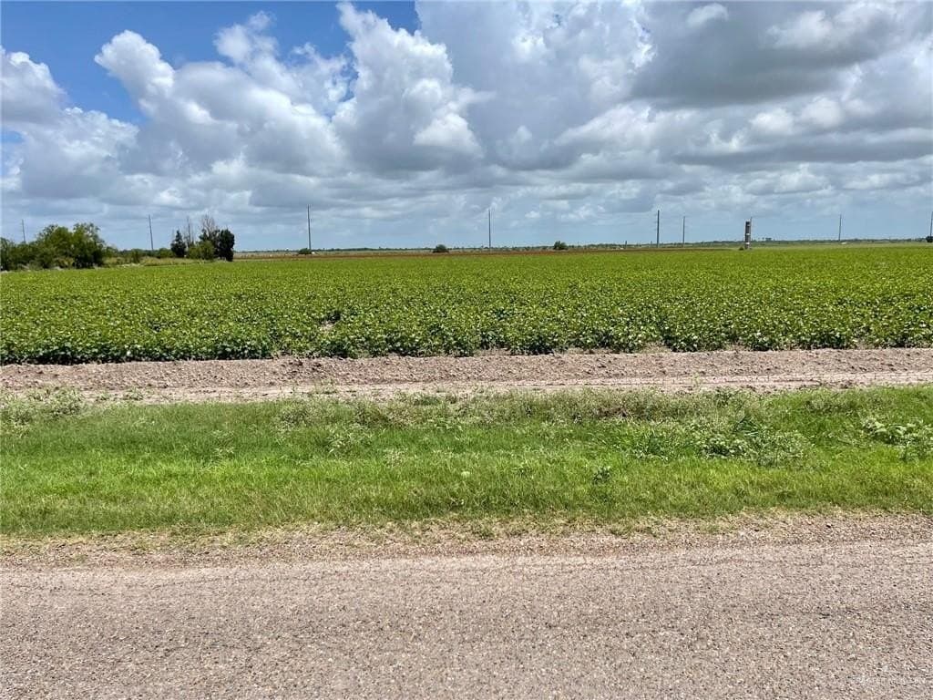 7.61 acres in Hidalgo County gallery image 2