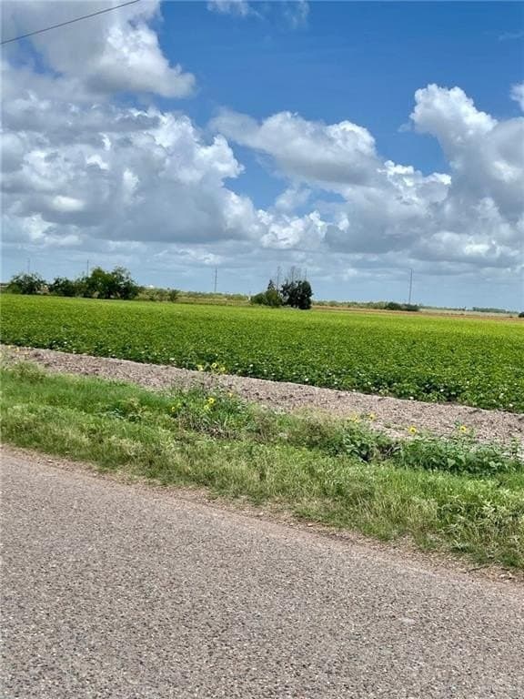 7.61 acres in Hidalgo County gallery image 3