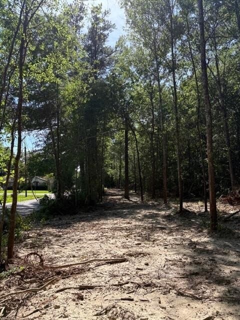 0.64 acres in Texas County - photo 3