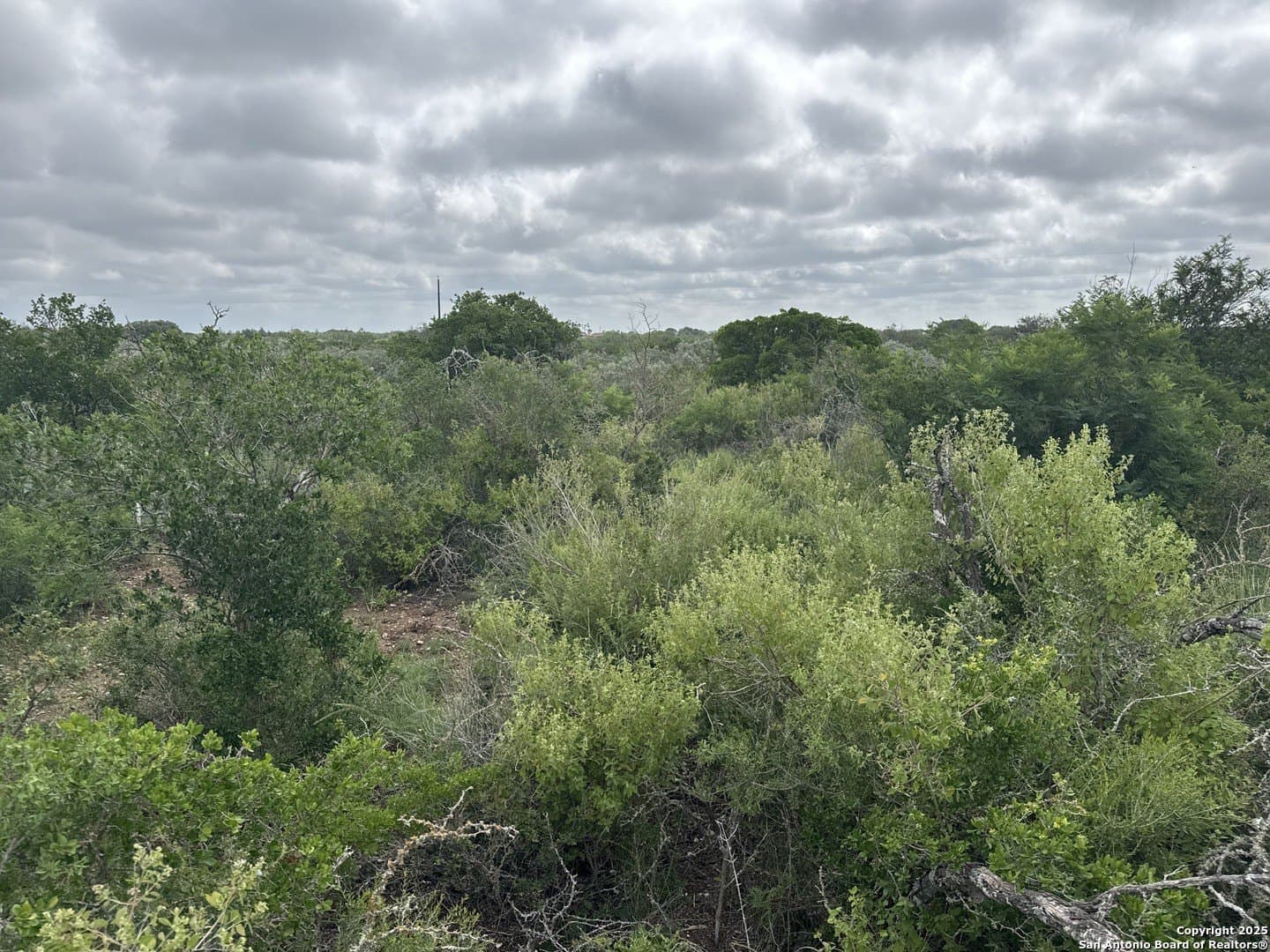 3 acres in Uvalde County gallery image 2