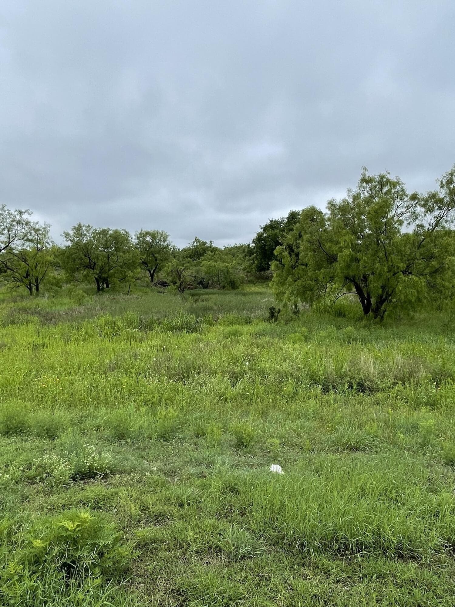 0.17 acres in Tom Green County gallery image 2