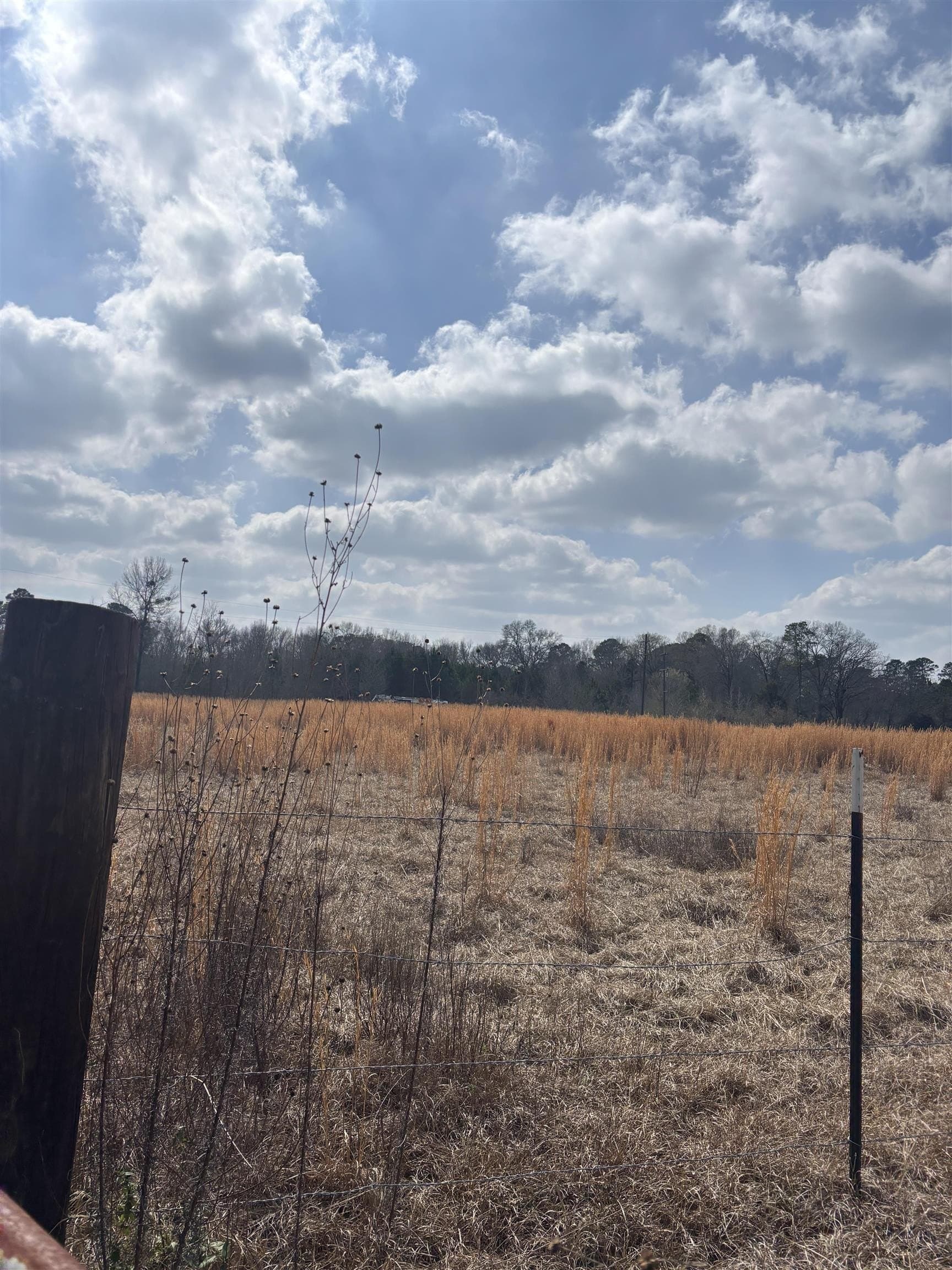 46.61 acres in Harrison County - photo 2