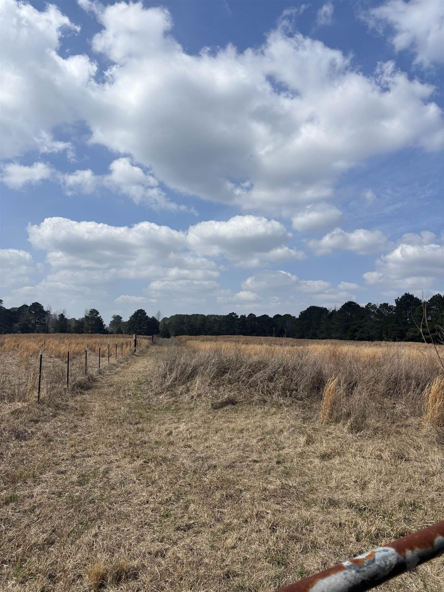 46.61 acres in Harrison County - photo 4