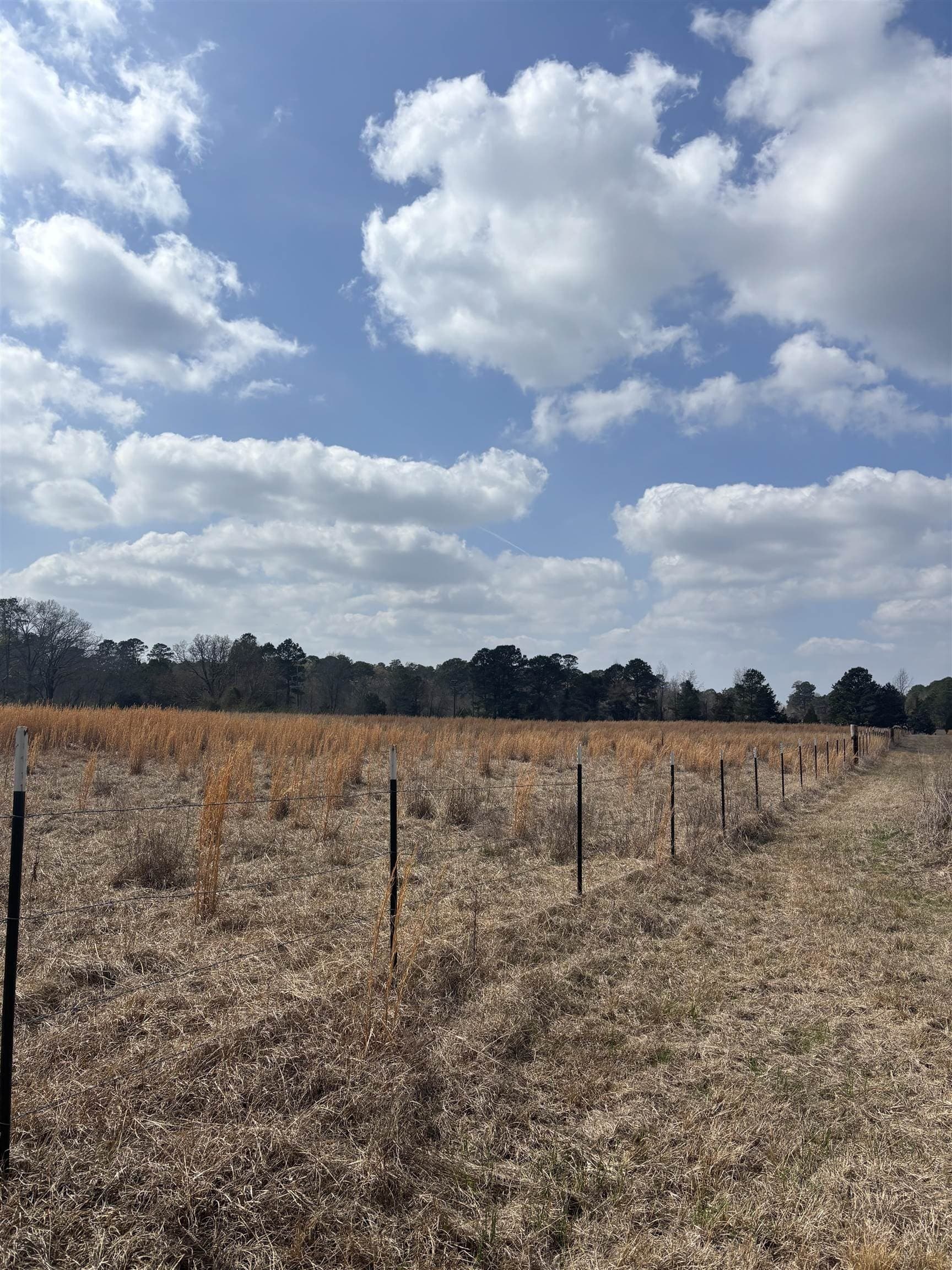 46.61 acres in Harrison County - photo 5