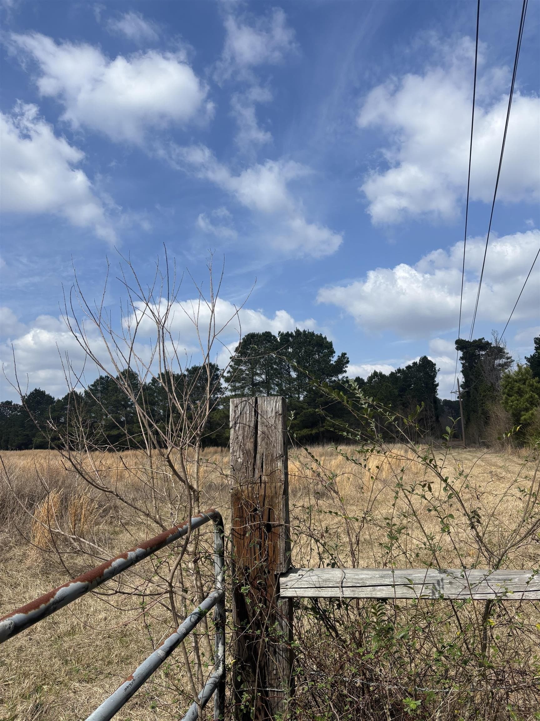 46.61 acres in Harrison County - photo 3