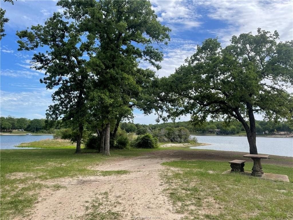 0.22 acres in Leon County - photo 3