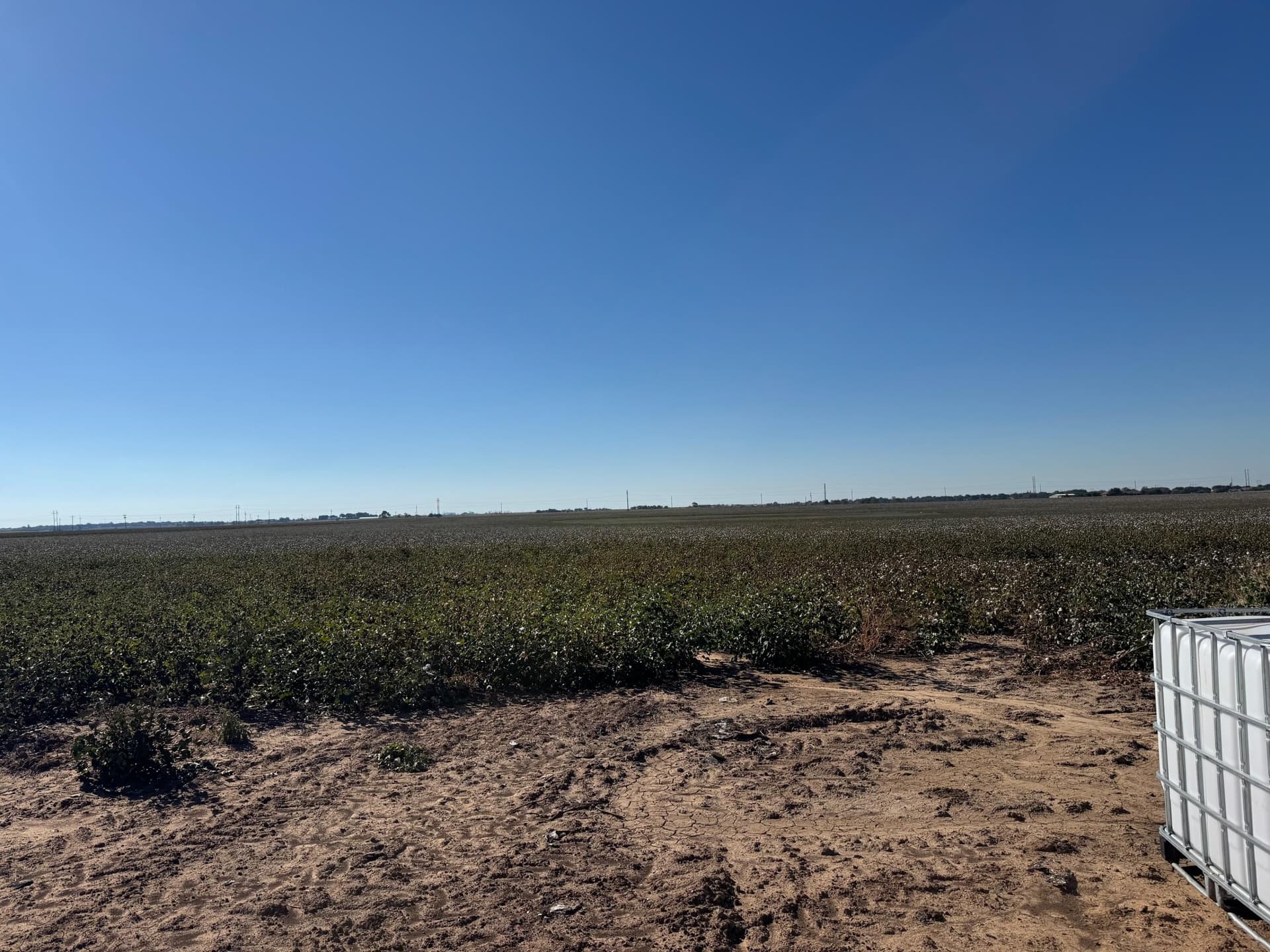 68.2 acres in Hale County - photo 8