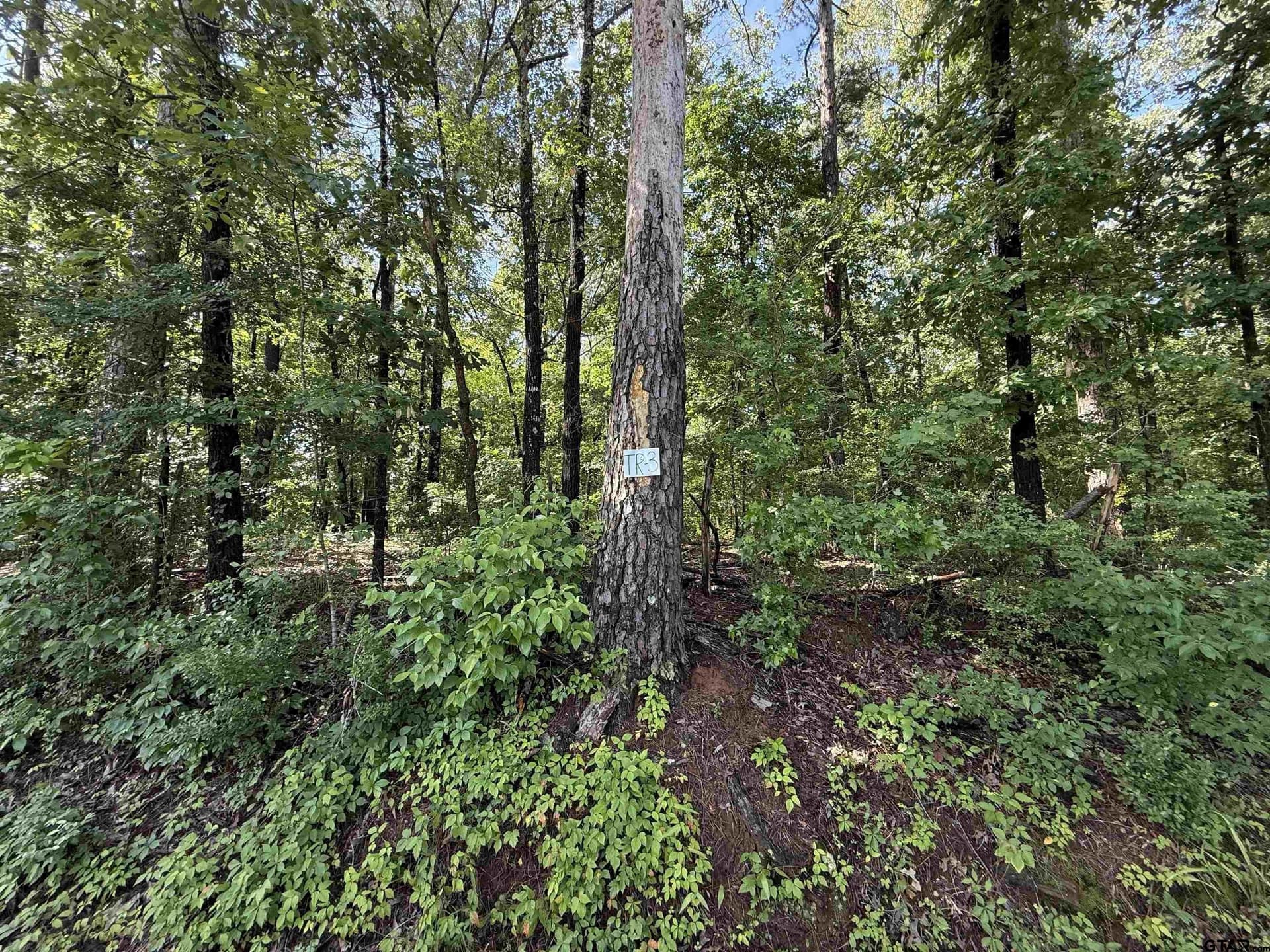 10 acres in Rusk County